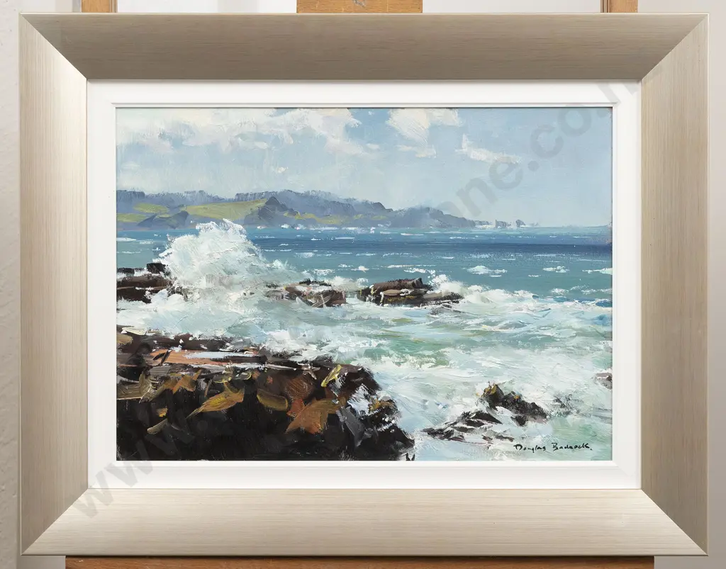 Douglas Badcock - Curio Bay - Southland Image 1++