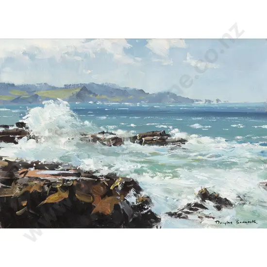 Douglas Badcock - Curio Bay - Southland