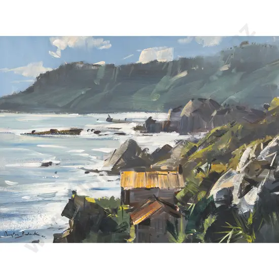 Douglas Badcock - Morning Atmosphere - Woodpecker Bay - West Coast