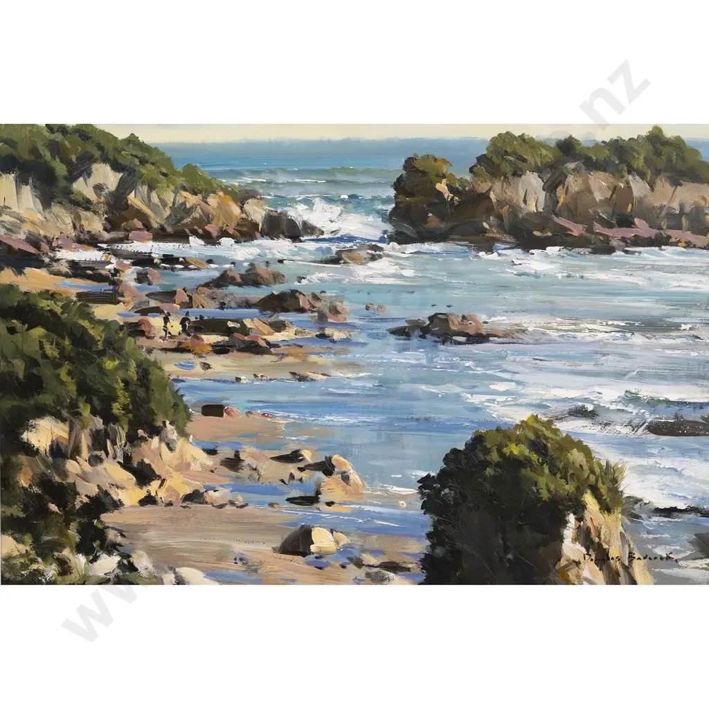 Douglas Badcock - Woodpecker Bay - Northern West Coast Image 1++
