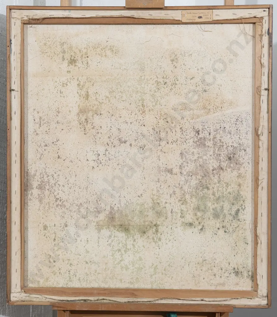 Ted Bracey - North Island Synthesis Image 1++