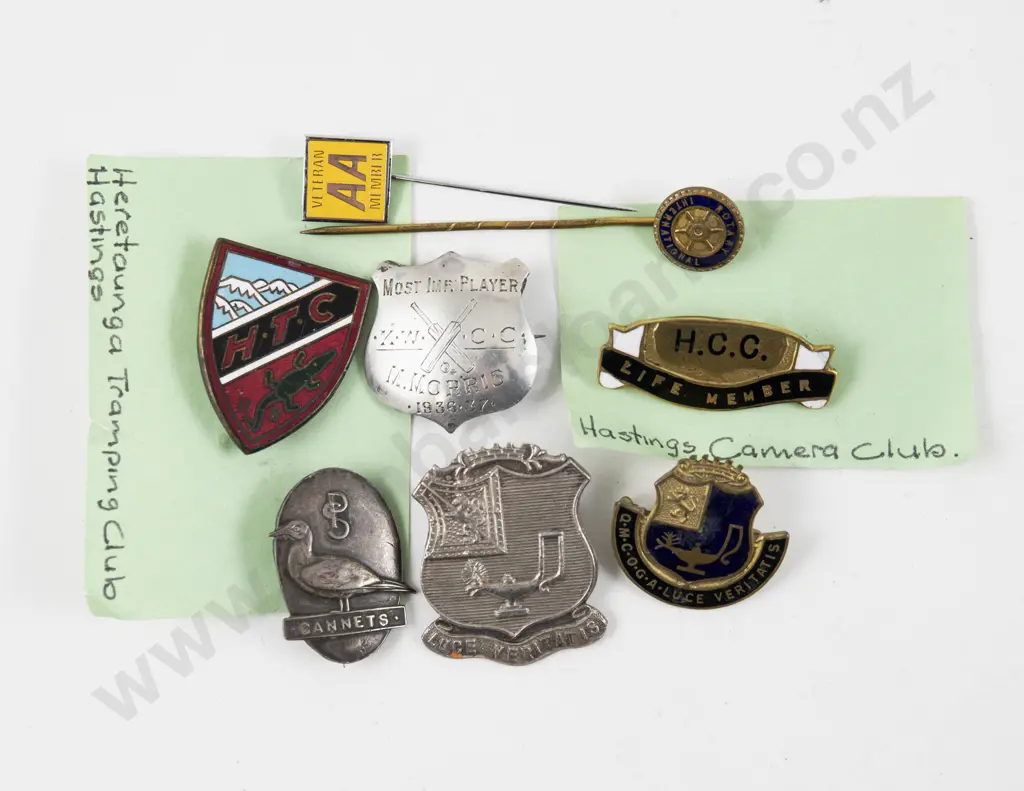 Three S/S NZ School Badges and Four Enamel Badges Image 1++