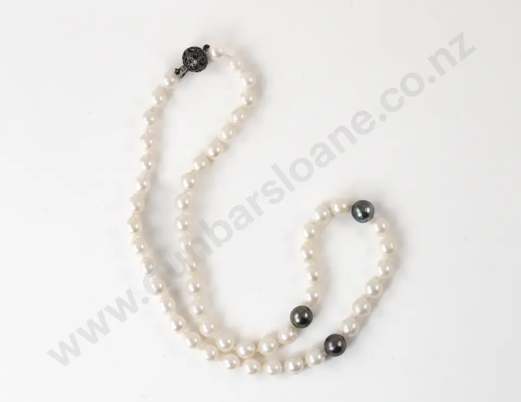 Single Strand Black Tahitian and Fresh Water Pearl Necklace Image 1++
