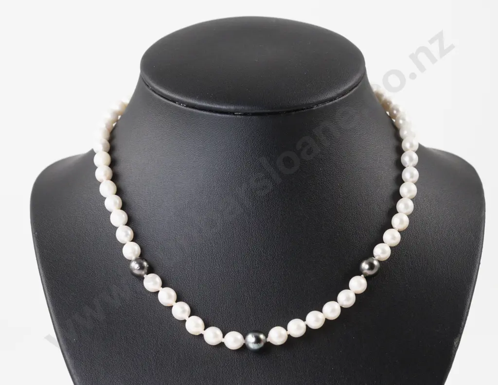 Single Strand Black Tahitian and Fresh Water Pearl Necklace Image 1++