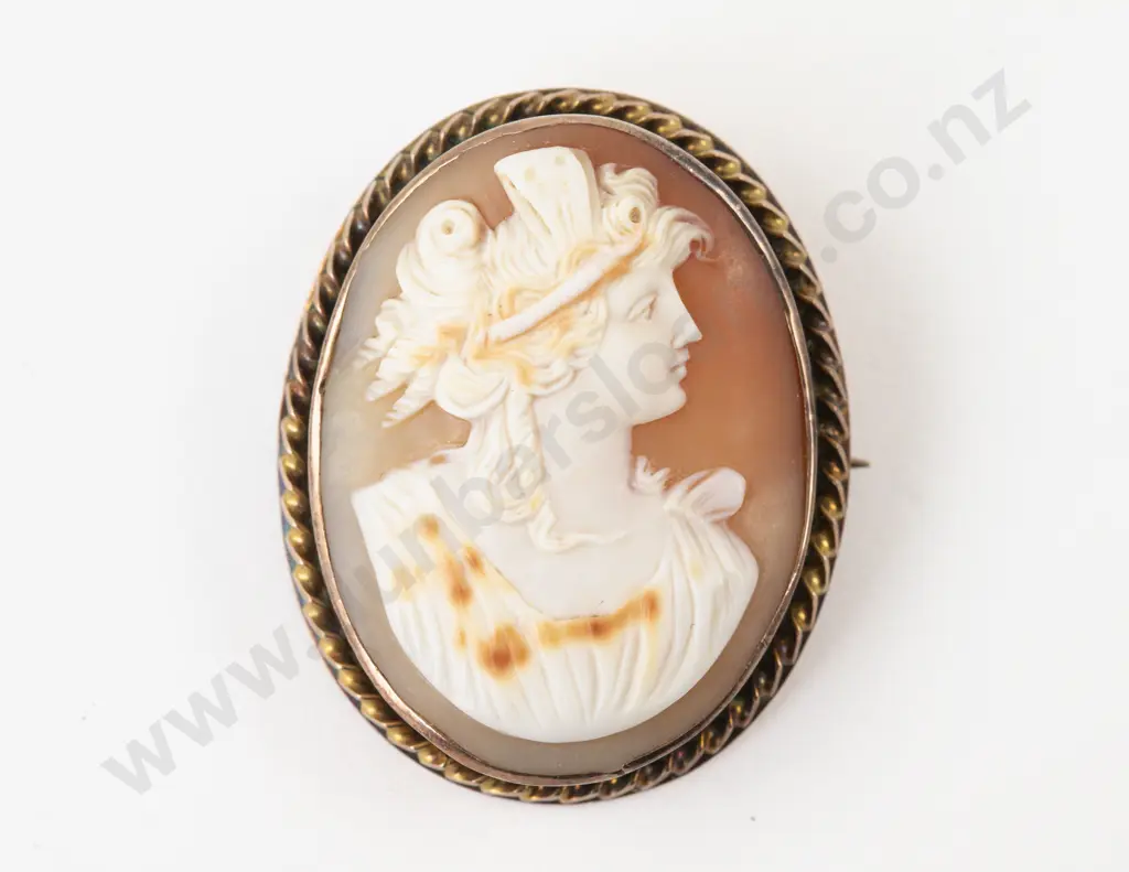 9ct Framed Classical Portrait Cameo Brooch Image 1++