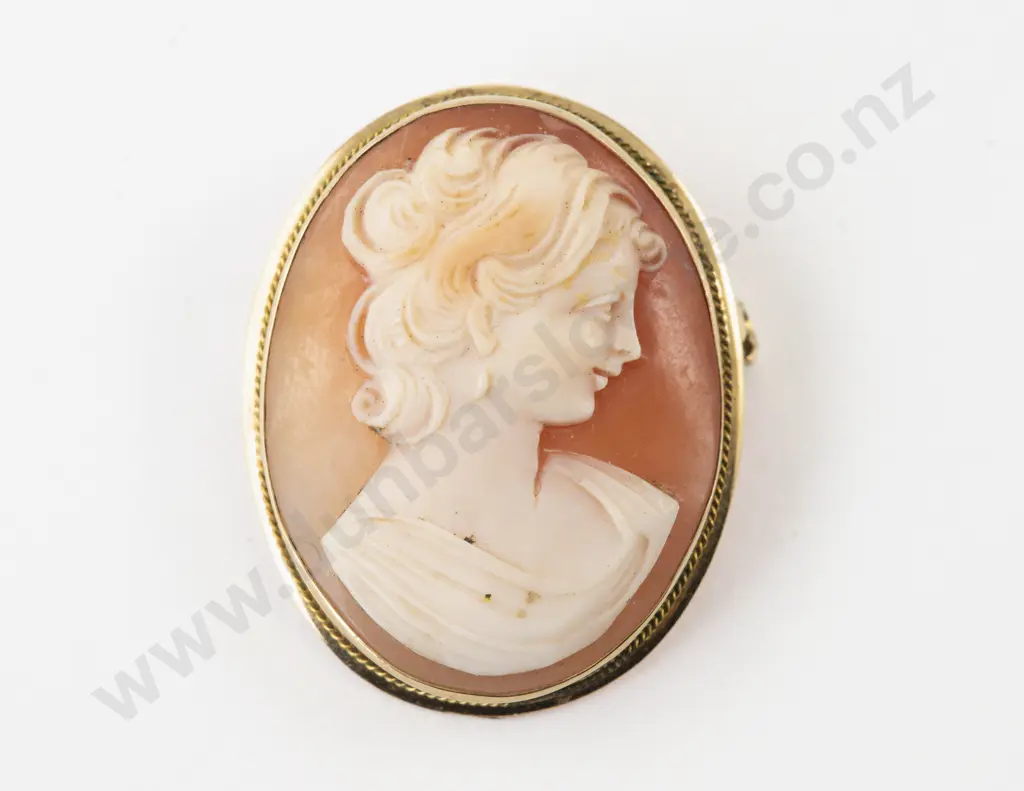 Victorian 15ct Framed Classical Portrait Cameo Brooch Image 1++