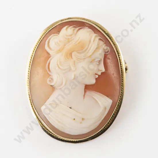 Victorian 15ct Framed Classical Portrait Cameo Brooch