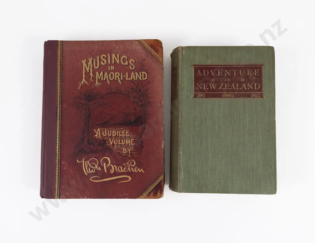 Wakefield Edward Jerningham - Adventure in New Zealand From 1889 to 1844 Image 1++