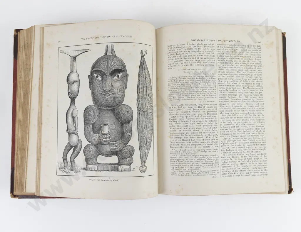 Sherrin, R. A. A & Wallace, J. H., Early History of New Zealand, 1890 Image 1++