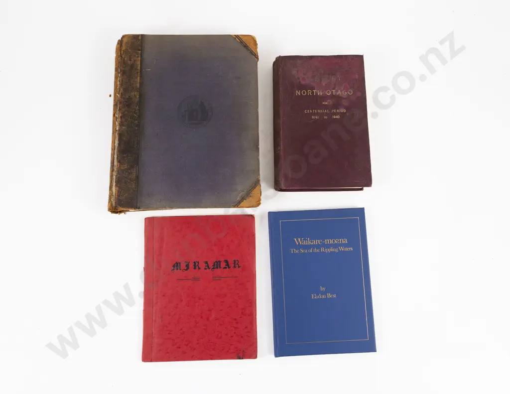 4 NZ Regional Volumes Image 1++