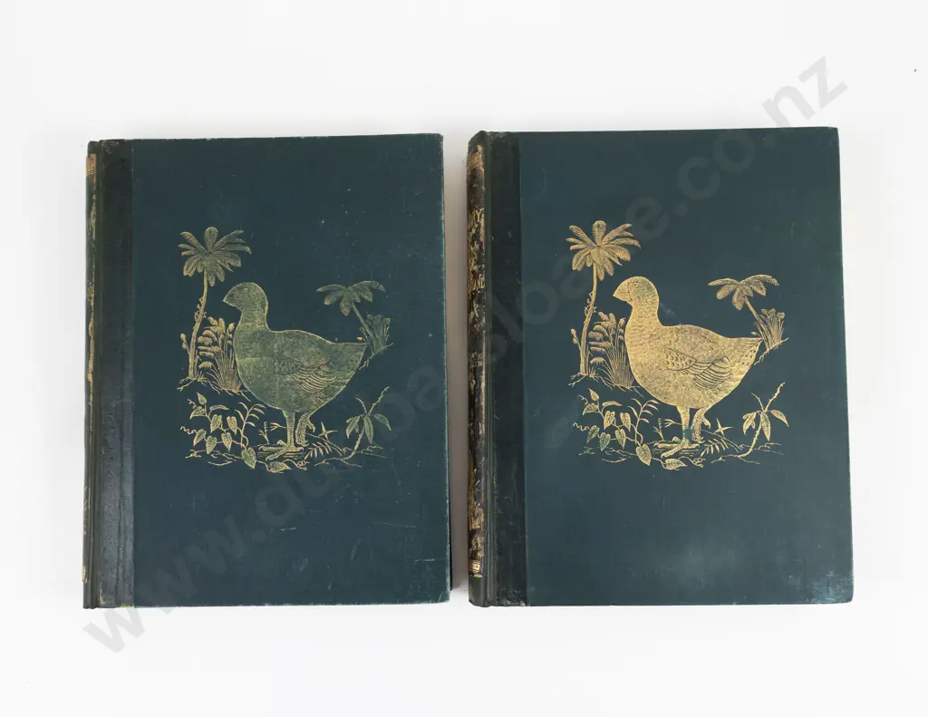Buller, Sir Walter Lawry, A History of the Birds Of New Zealand (2 Volumes, 1888) Image 1++