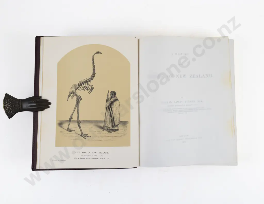 Buller, Walter Lawry, A History of the Birds Of New Zealand (Facsimile Edition 1983) Image 1++