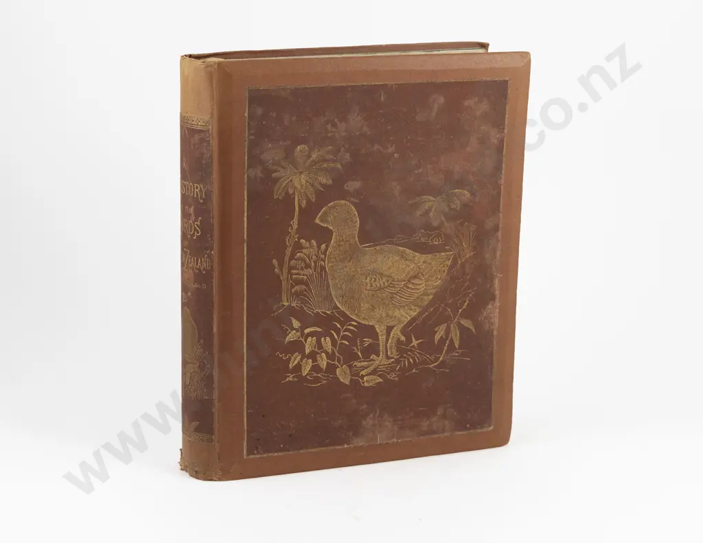 Buller, Walter, Lawry, A History of the Birds of New Zealand, 1873 Image 1++