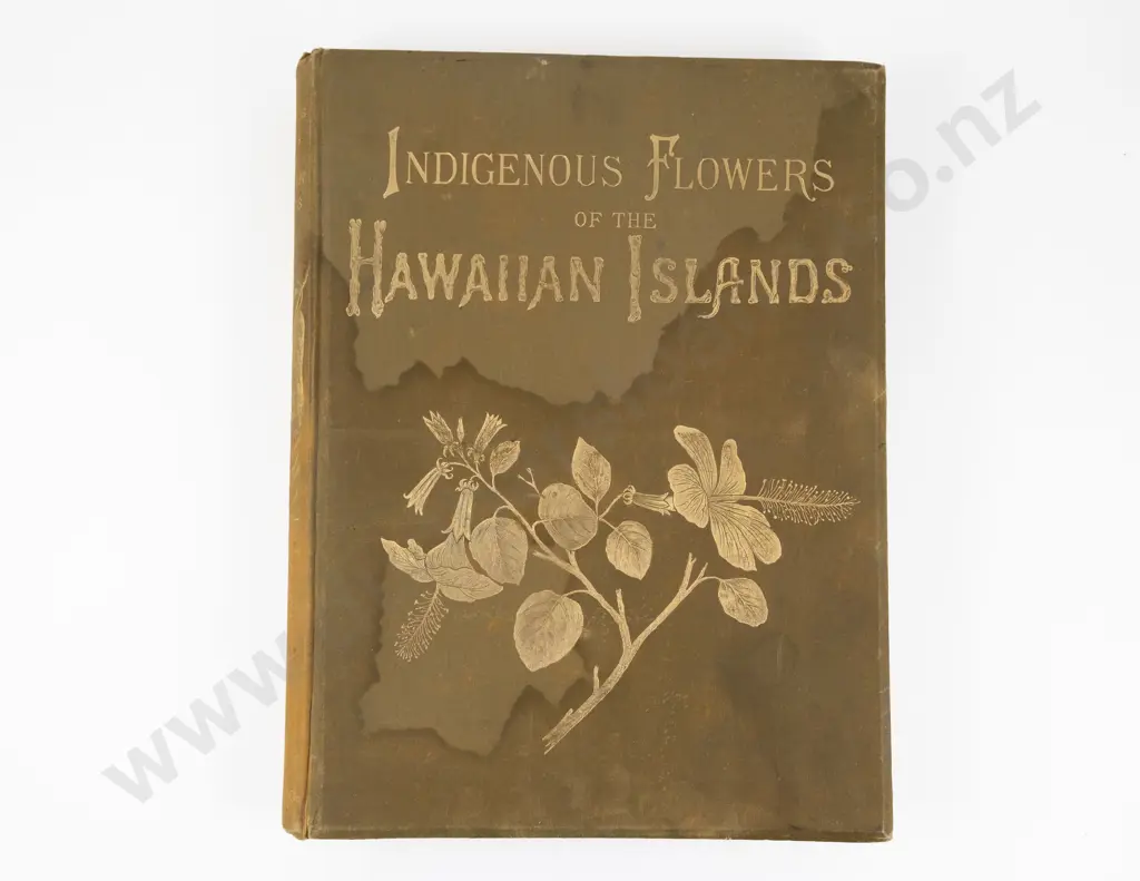 Sinclair, Mrs Francis, (Isabella) Indigenous Flowers of the Hawaiian Islands, 1885 Image 1++