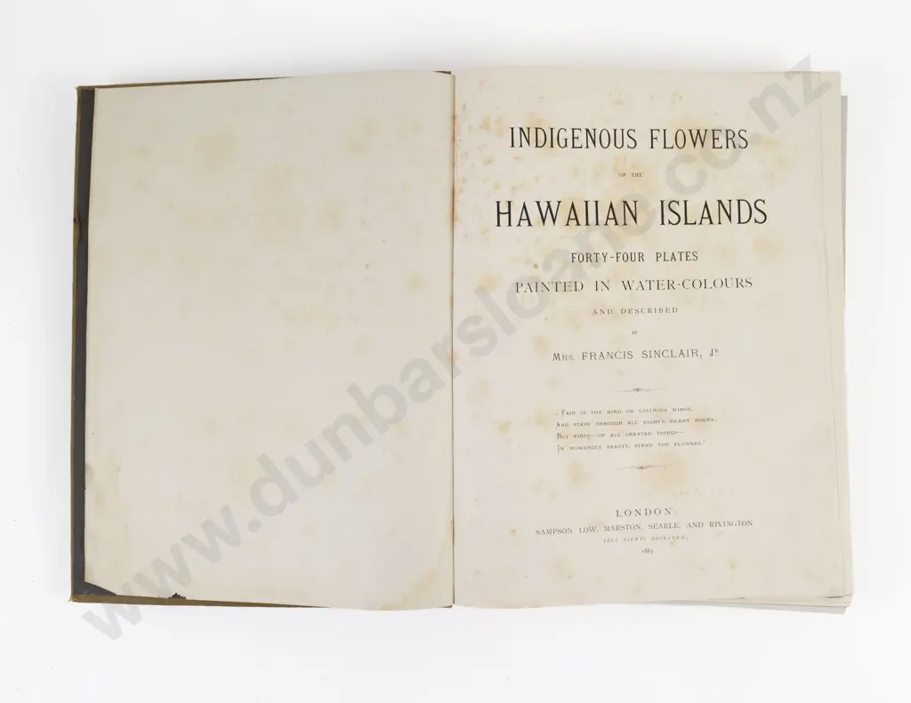 Sinclair, Mrs Francis, (Isabella) Indigenous Flowers of the Hawaiian Islands, 1885 Image 1++
