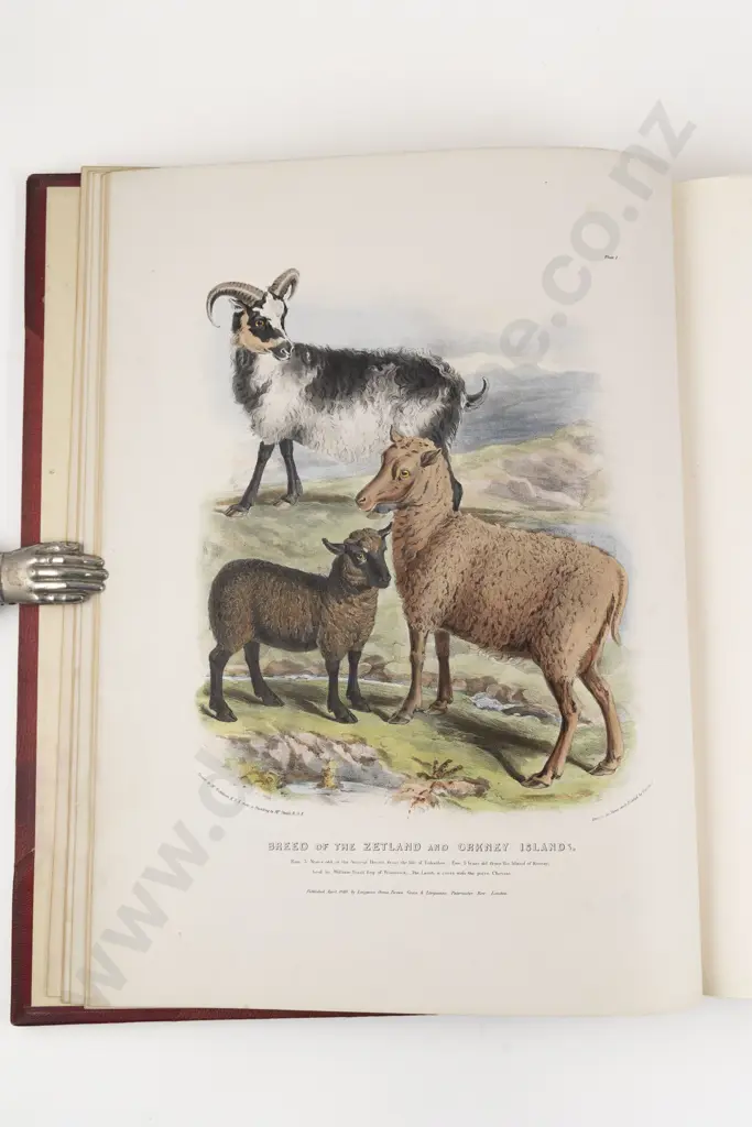 Low, David, The Breeds of the Domestic Animals of the British Islands (2 Volumes, 1842) Image 1++