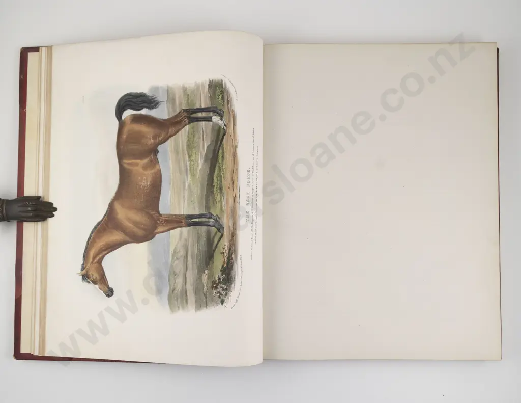 Low, David, The Breeds of the Domestic Animals of the British Islands (2 Volumes, 1842) Image 1++