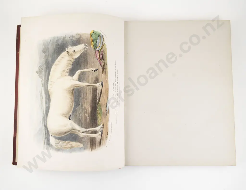 Low, David, The Breeds of the Domestic Animals of the British Islands (2 Volumes, 1842) Image 1++