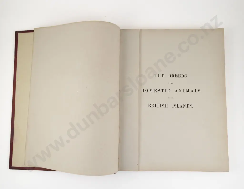 Low, David, The Breeds of the Domestic Animals of the British Islands (2 Volumes, 1842) Image 1++