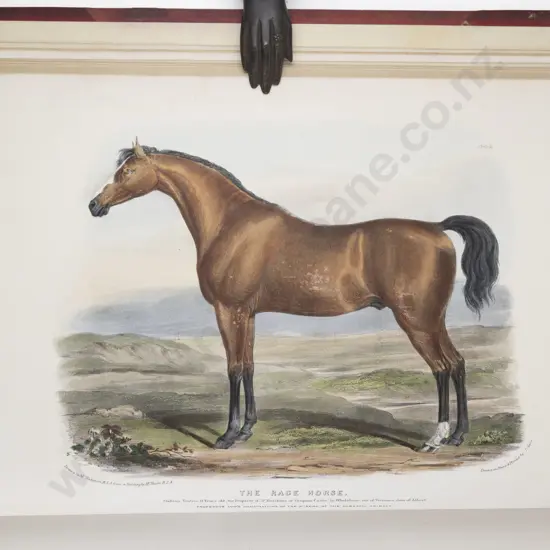 Low, David, The Breeds of the Domestic Animals of the British Islands (2 Volumes, 1842)
