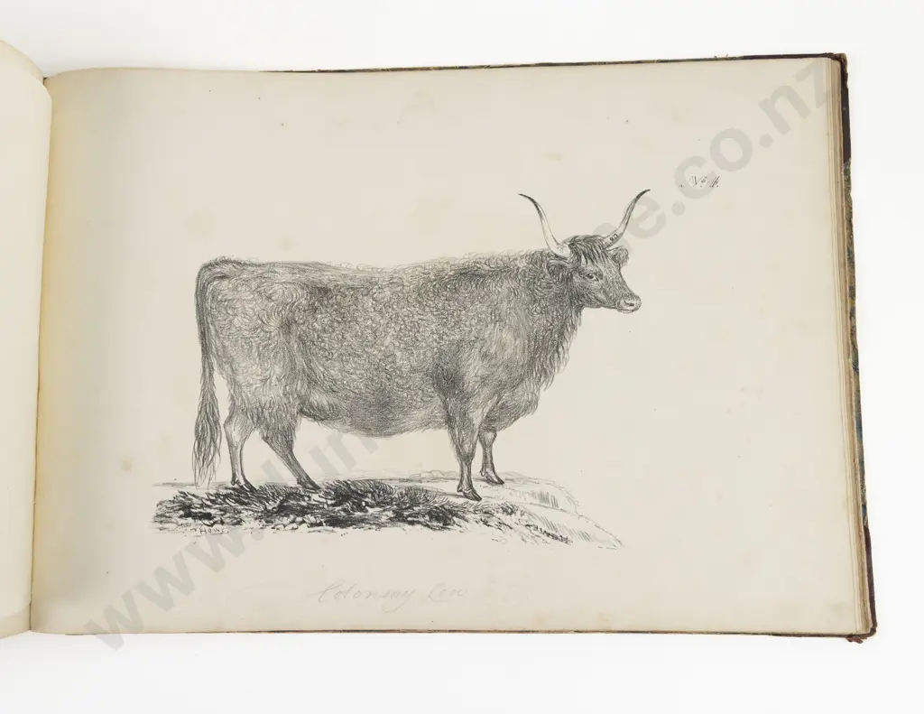 Howe, James, Portraits Of Horses of Distinguished Merit, Cattle Etc, Part I, 1832 Image 1++