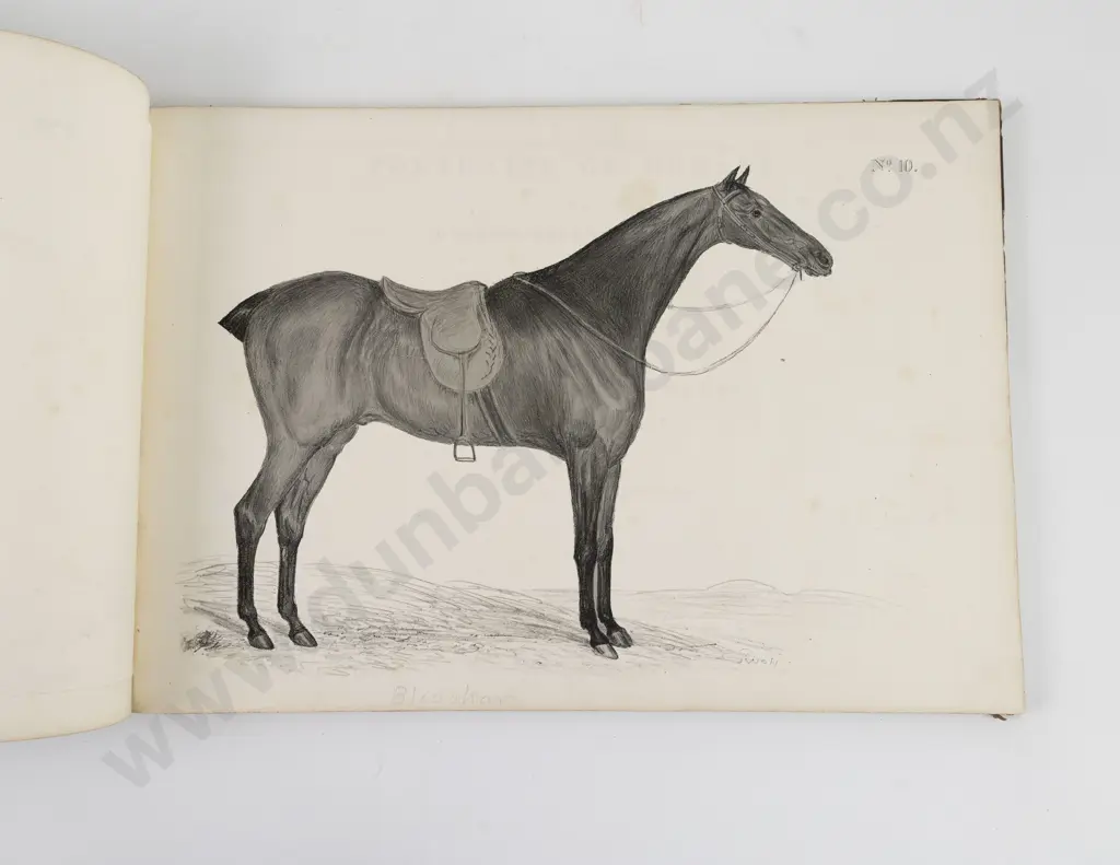 Howe, James, Portraits Of Horses of Distinguished Merit, Cattle Etc, Part I, 1832 Image 1++