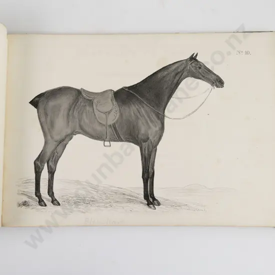 Howe, James, Portraits Of Horses of Distinguished Merit, Cattle Etc, Part I, 1832
