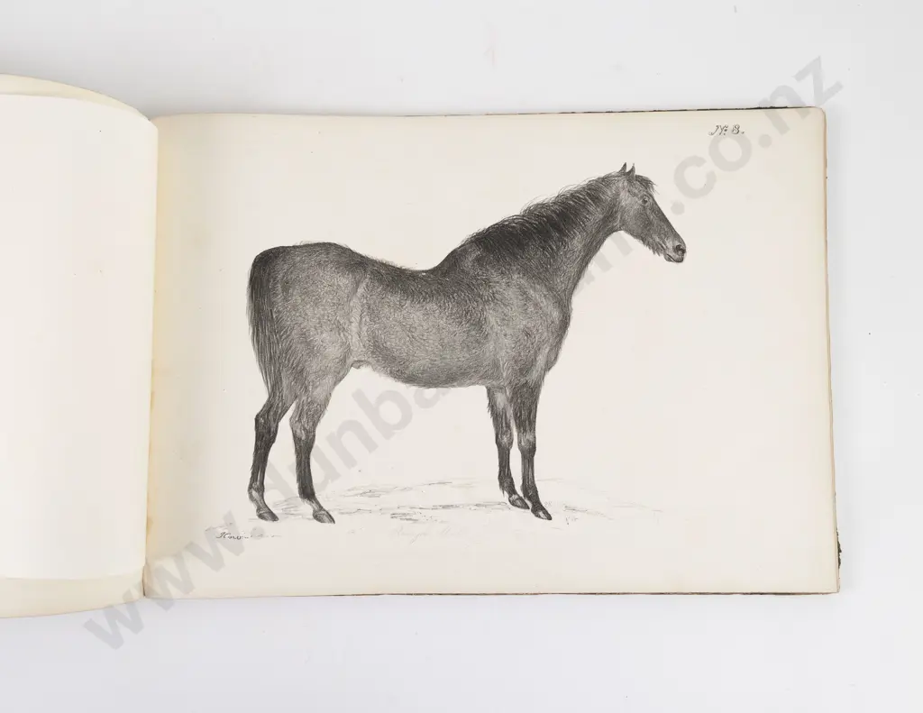Howe James - Portraits Of Horses of Distinguished Merit Image 1++