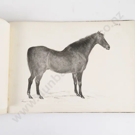 Howe James - Portraits Of Horses of Distinguished Merit