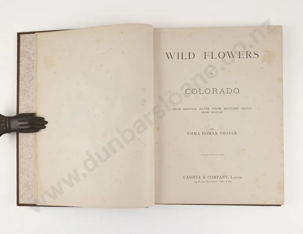 Thayer, Emma Homan, Wild Flowers of Colorado, 1885 Image 1++