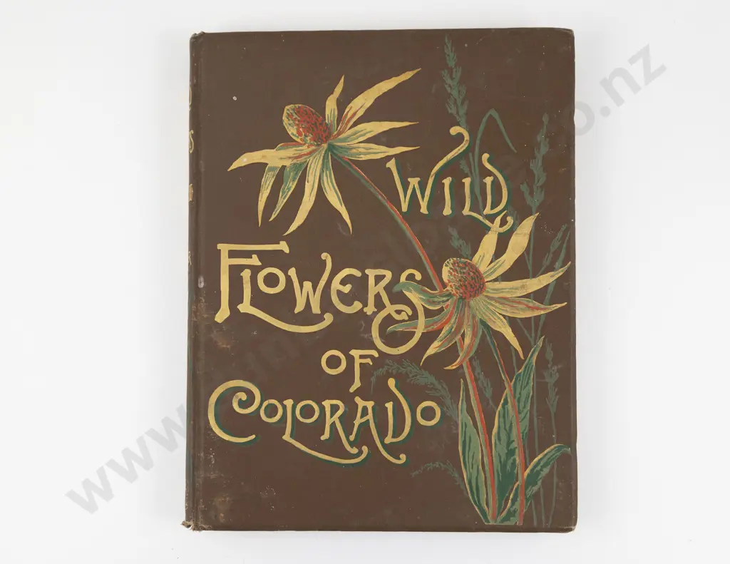 Thayer, Emma Homan, Wild Flowers of Colorado, 1885 Image 1++
