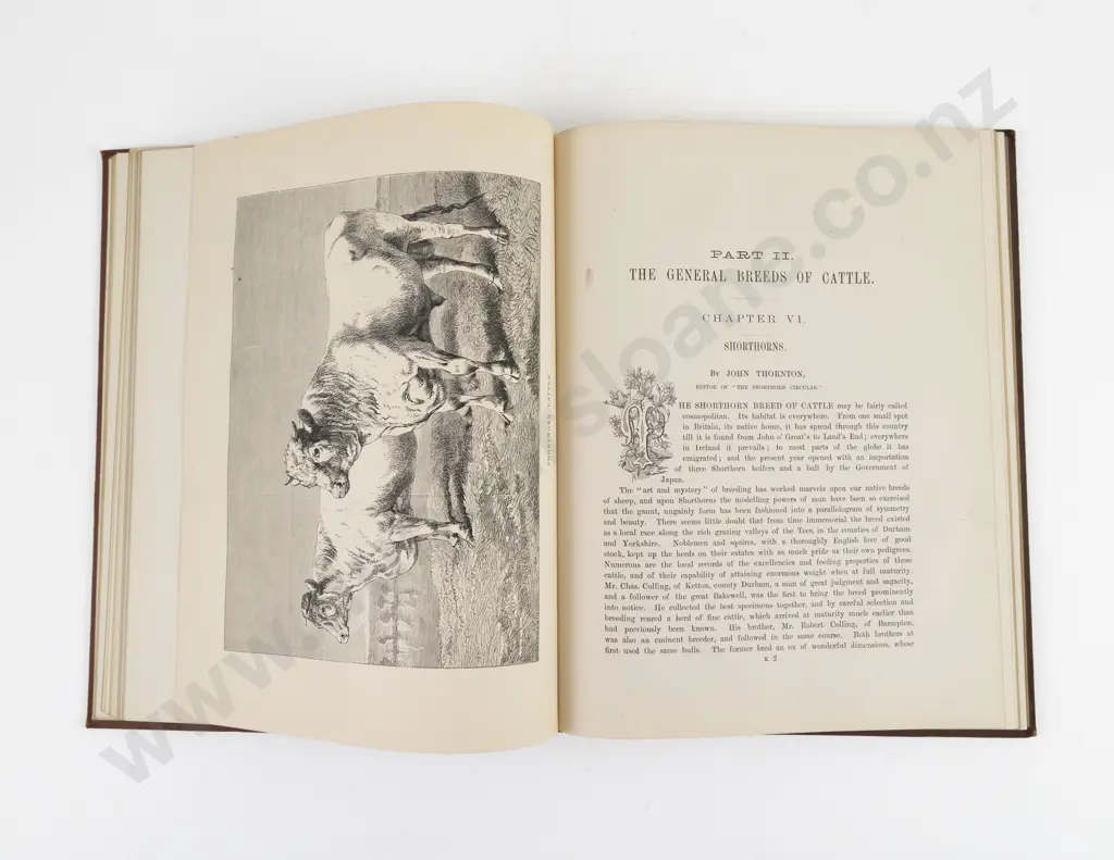 Coleman, J (Editor) The Cattle Of Great Britain, 1875 Image 1++