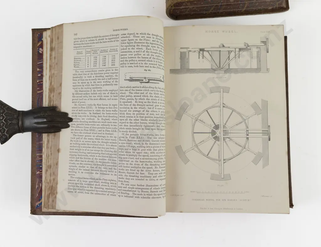 Morton, John Chalmers, A Cyclopedia of Agriculture (2 Volumes, 1875) Image 1++