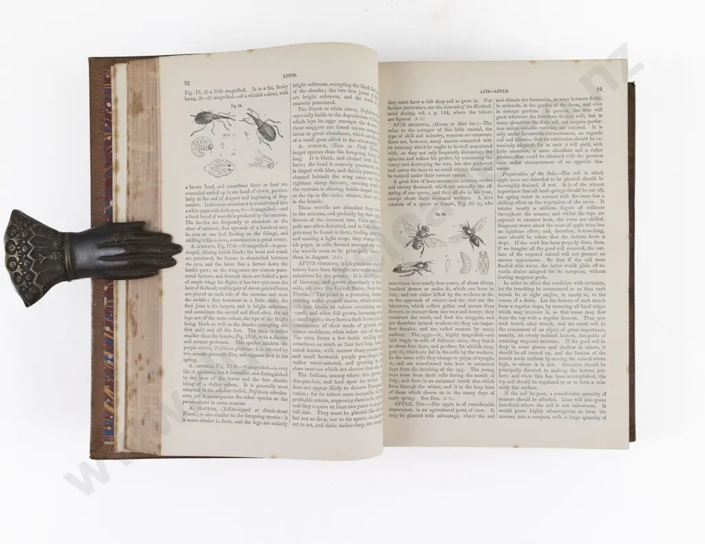 Morton, John Chalmers, A Cyclopedia of Agriculture (2 Volumes, 1875) Image 1++