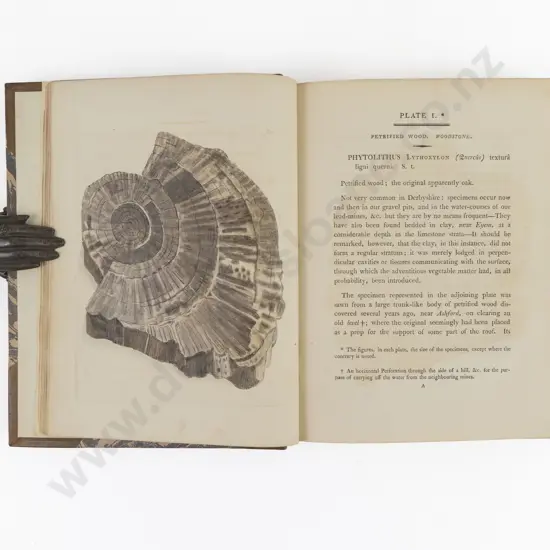 Martin William - Petrificata Derbiensia or Figures And Descriptions of Petrifications Collected In Derbyshire