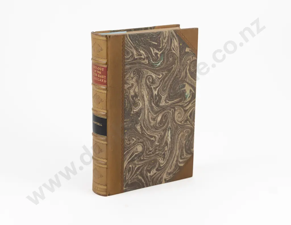 Mantell Gideon Algernon - The Geology Of The South-East Of England Image 1++