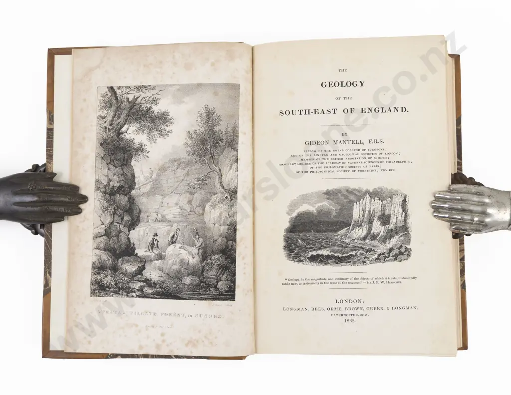 Mantell Gideon Algernon - The Geology Of The South-East Of England Image 1++