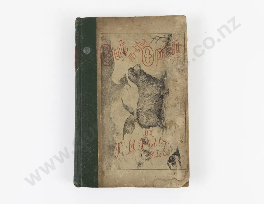 Potts, T. H., Out In The Open, 1882 Image 1++