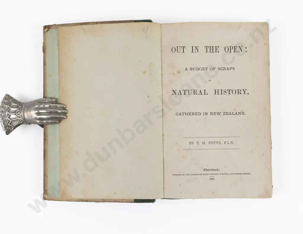 Potts, T. H., Out In The Open, 1882 Image 1++