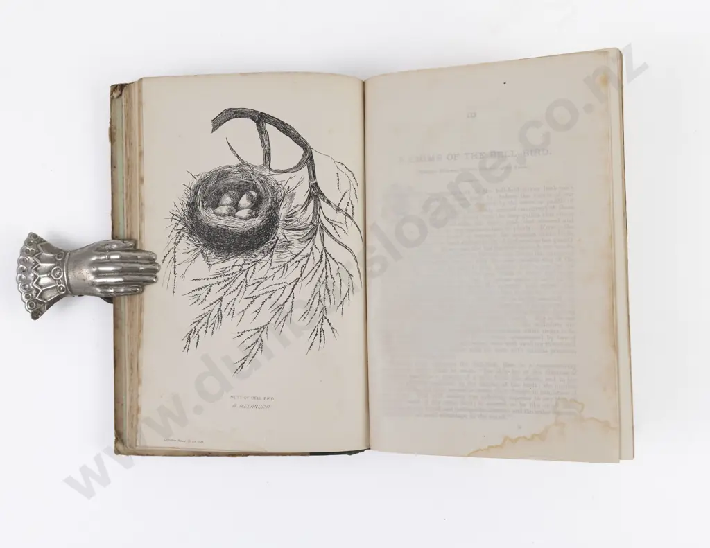 Potts, T. H., Out In The Open, 1882 Image 1++