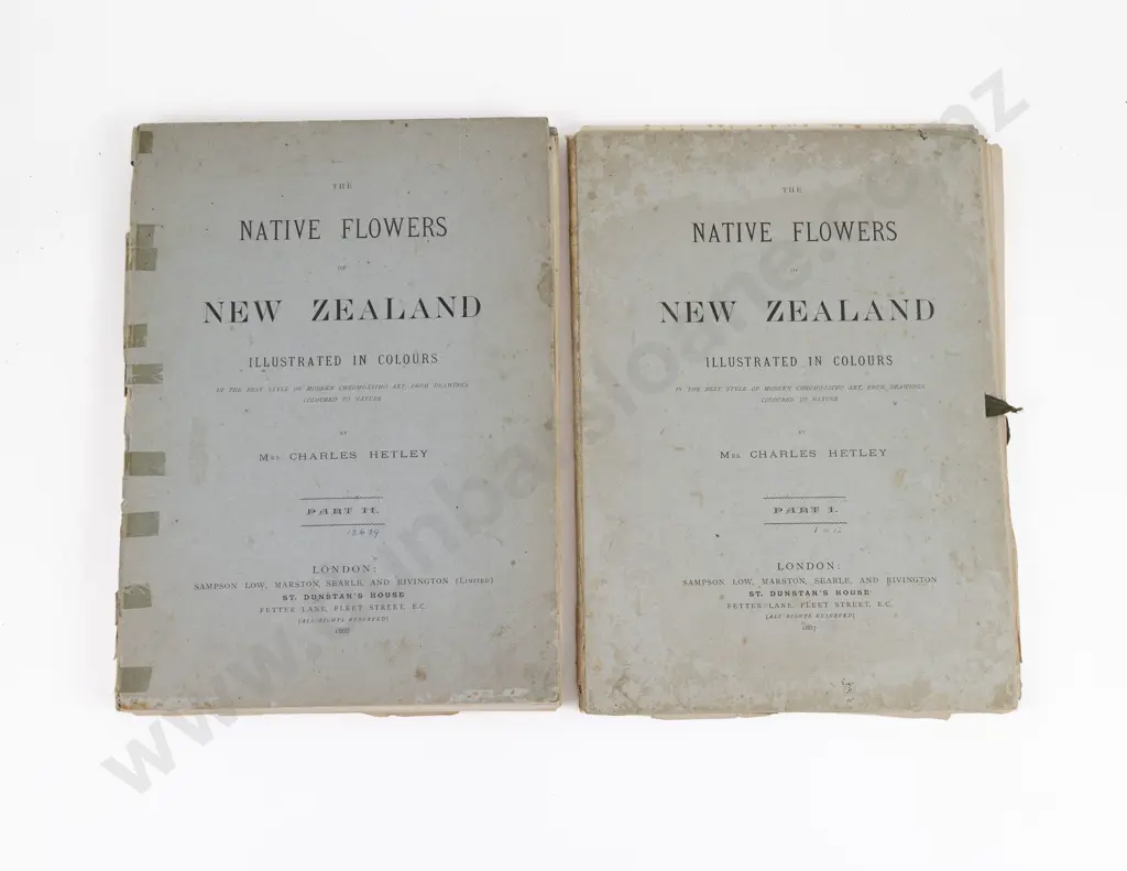 Hetley, Mrs Charles, The Native Flowers of New Zealand, 1888 (3 Volumes) Image 1++