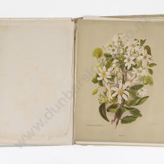 Hetley, Mrs Charles, The Native Flowers of New Zealand, 1888 (3 Volumes)