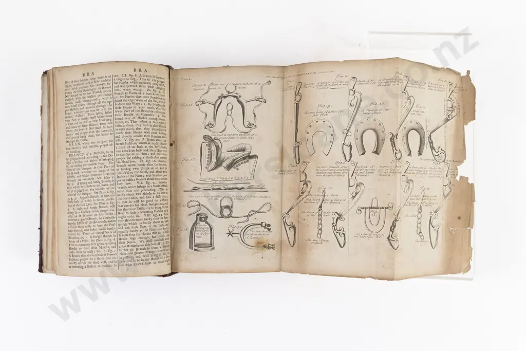 (-) Dictionarium Rusticum, Urbanicum & Botanicum, 1717 Image 1++