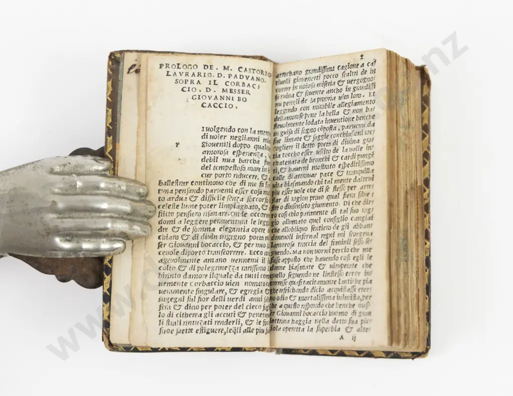 Boccaccio, Giovanni, Labirinto d amore (Labryinth of Love) 1516 Image 1++
