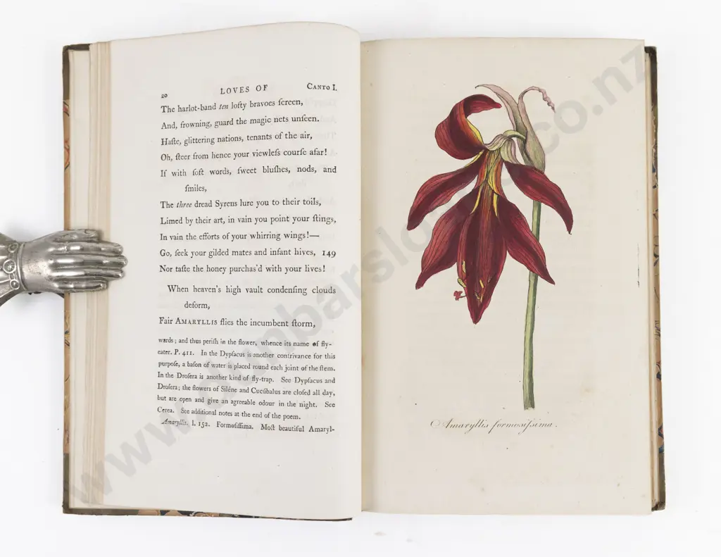 Darwin, Erasmus, The Poetical Works of Erasmus Darwin (3 Volumes, 1806) Image 1++