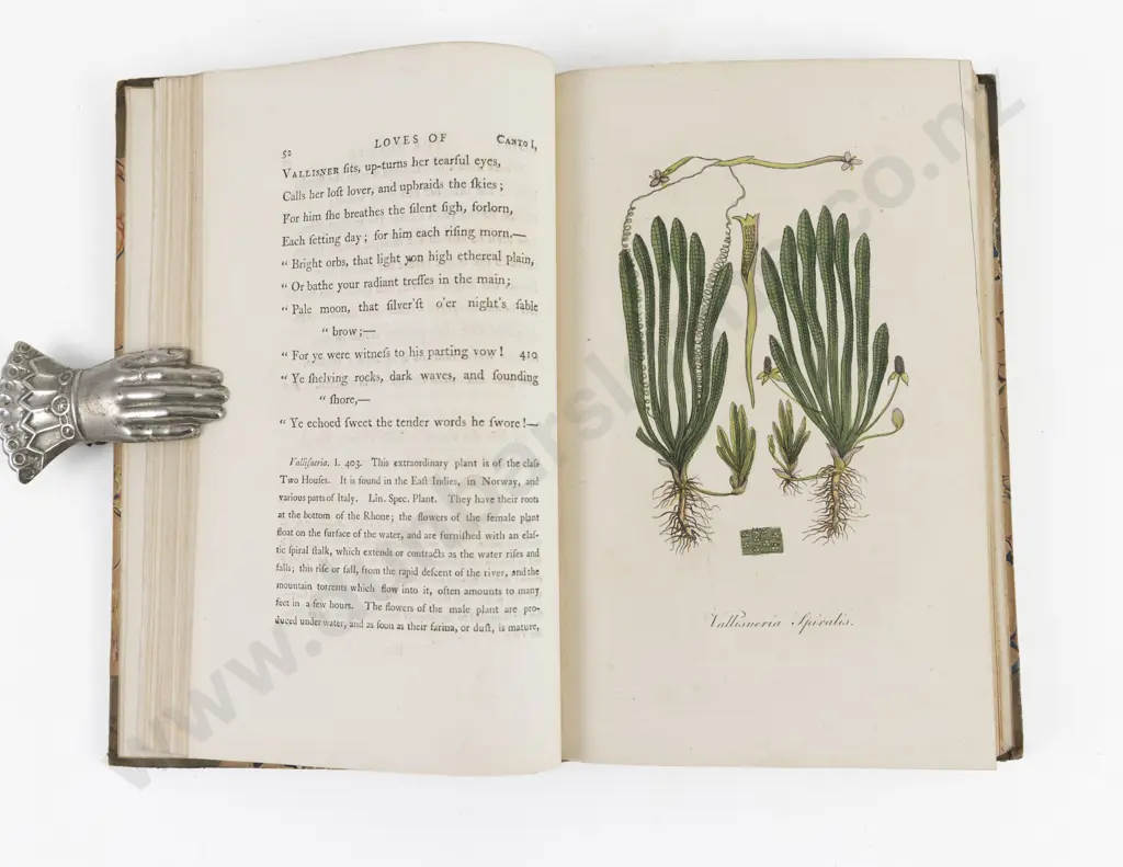 Darwin, Erasmus, The Poetical Works of Erasmus Darwin (3 Volumes, 1806) Image 1++