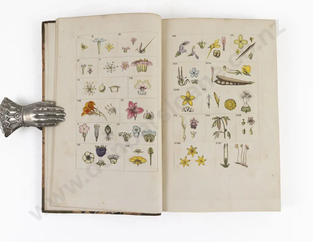 Darwin, Erasmus, The Poetical Works of Erasmus Darwin (3 Volumes, 1806) Image 1++