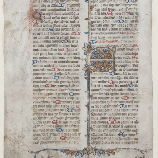 14th Century English Illuminated Manuscript Leaf From A Psalter