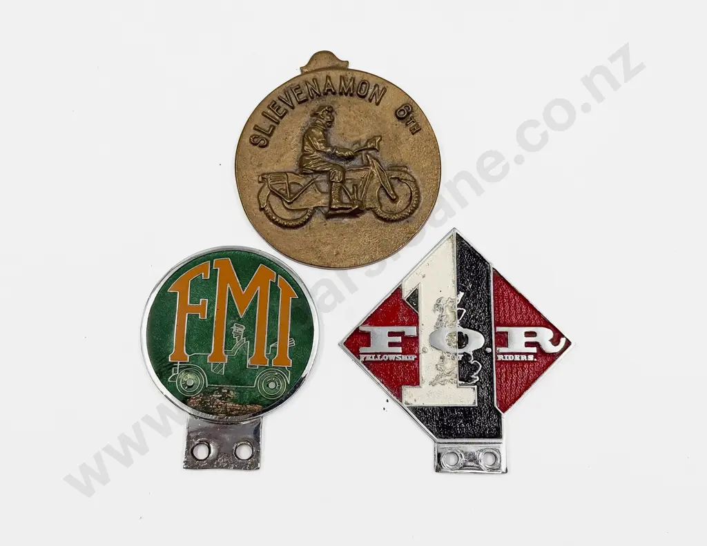 UK Fellowship Of Riders Enamel Motorcycle Badge with FMI Badge and Slievenamon 6th Medallion Image 1++