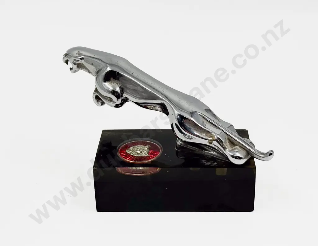 Jaguar Mascot Image 1++